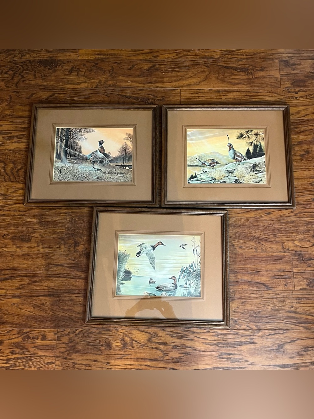 Vtg Ruane Manning Prints - Pheasant, Ducks and Quail - Set of 3 RARE FIND